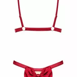 Obsessive Rubinesa Cupless 2 Piece Set -Stockings Shop Mayfair StockingsObsessive rubinesa set back packshot 22