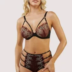 Playful Promises Black And Red Dakota Embroidered Balconette Bra -Stockings Shop Mayfair Stockingsplayful promises bra dakota red snake embroidered balconette bra 30295072833584 2000x 3