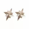 3WISHES Golden Star Pasties