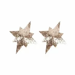 3WISHES Golden Star Pasties